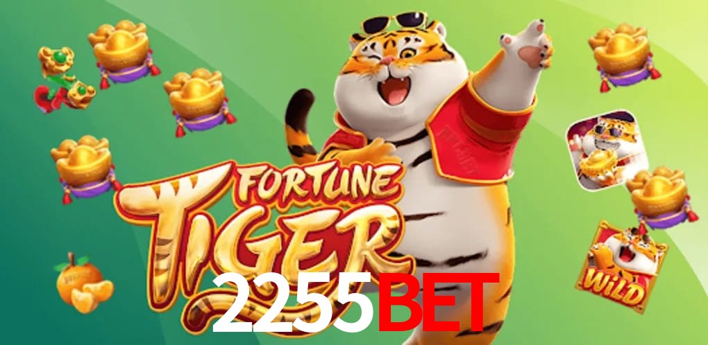 Experiência VIP 2255bet